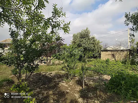 Satılır torpaq sahəsi — Şirvan