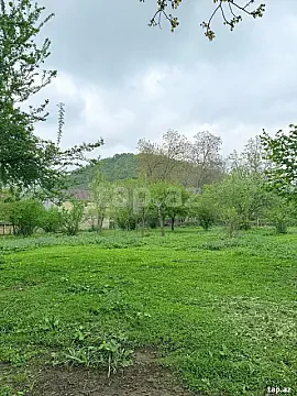 Satılır torpaq sahəsi — Qəbələ