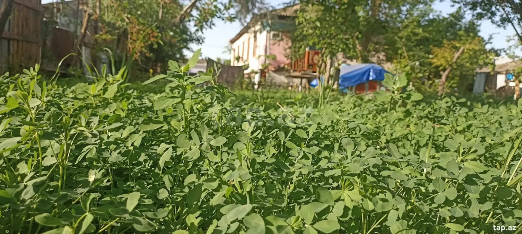 Satılır 3 otaqlı həyət evi 120 m²