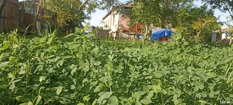 Satılır 3 otaqlı həyət evi 120 m² — Yevlax 3 otaq 120.00 m²