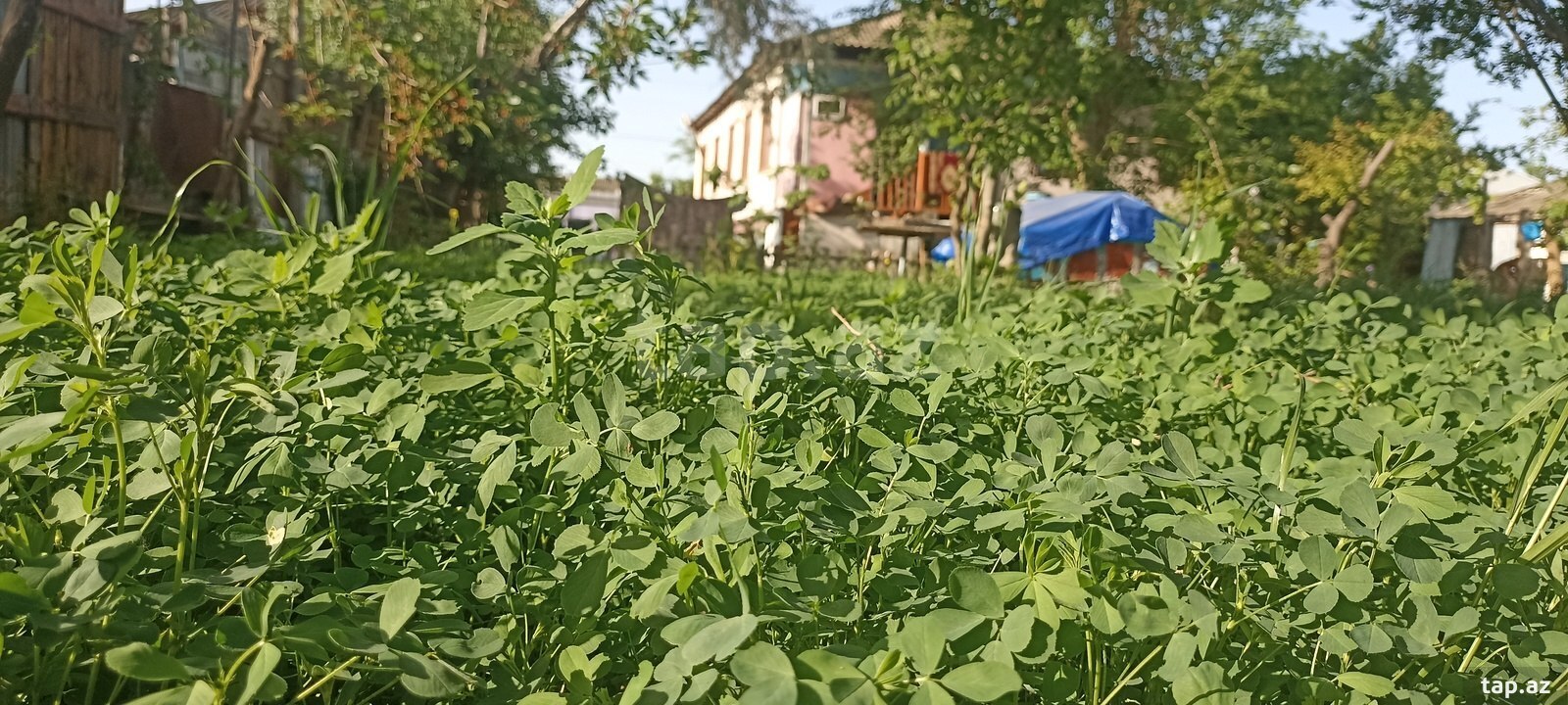 Satılır 3 otaqlı həyət evi 120 m²