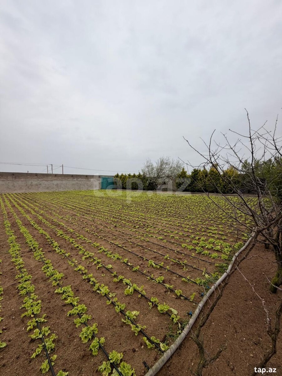 Satılır 3 otaqlı həyət evi 220 m²