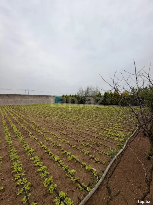 Satılır 3 otaqlı həyət evi 220 m²