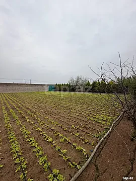 Satılır 3 otaqlı həyət evi 220 m² — Bakı, Türkan 3 otaq 220.00 m²
