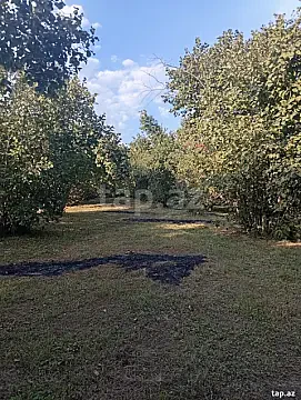 Satılır torpaq sahəsi — Zaqatala