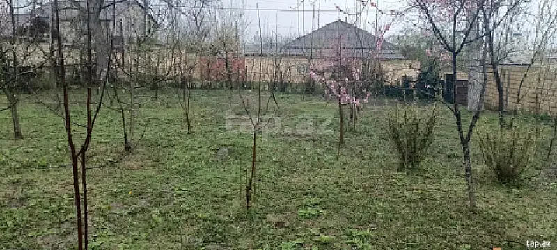 Satılır torpaq sahəsi — Quba