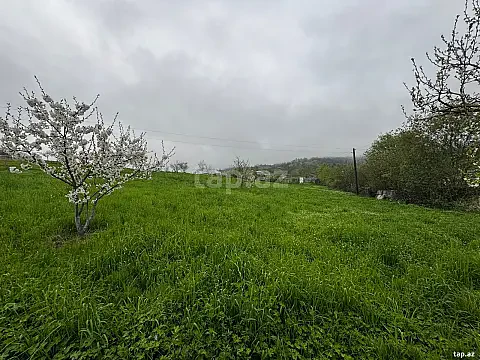 Satılır torpaq sahəsi — Quba