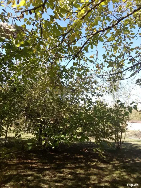 Kirayə verilir 3 otaqlı həyət evi 230 m²