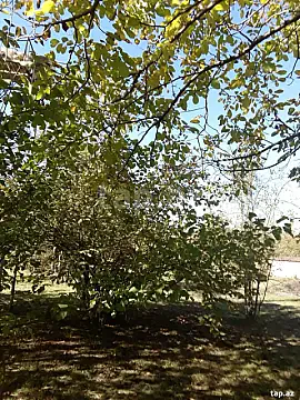 Kirayə verilir 3 otaqlı həyət evi 230 m² — İsmayıllı 3 otaq 230.00 m²