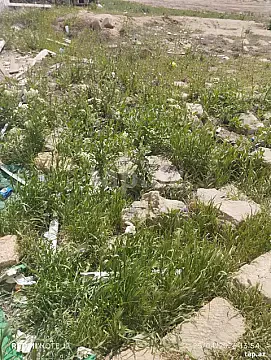 Satılır torpaq sahəsi — Bakı, Qobustan qəs.