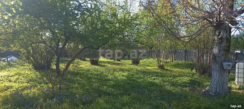 Satılır torpaq sahəsi — Qəbələ