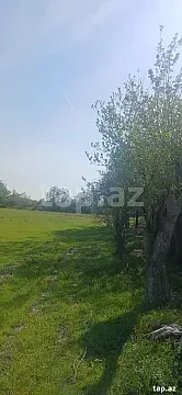 Satılır torpaq sahəsi — Ağdaş