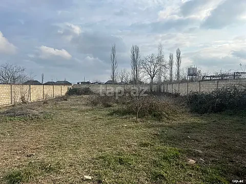 Satılır torpaq sahəsi — Xaçmaz