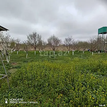 Satılır torpaq sahəsi — Bakı, Binə