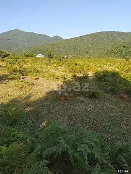 Satılır torpaq sahəsi — Qax