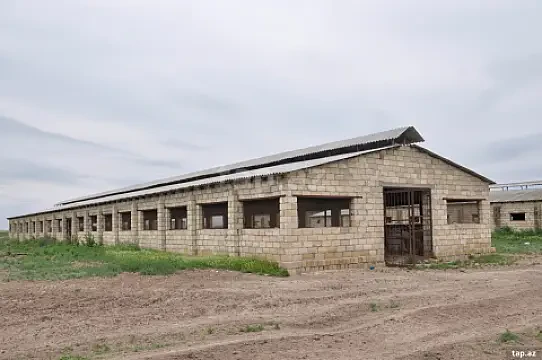 Satılır torpaq sahəsi — İmişli