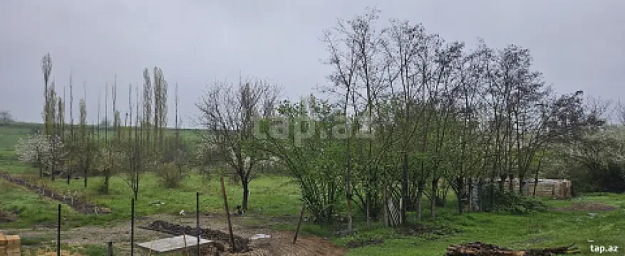 Satılır torpaq sahəsi — Qusar