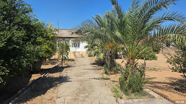 Satılır torpaq sahəsi — Bakı, Şüvəlan
