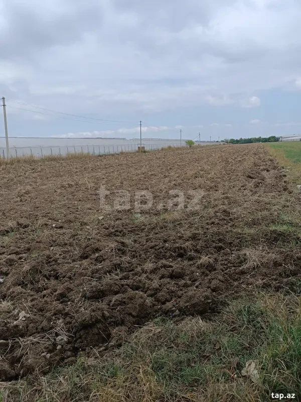 Satılır torpaq sahəsi