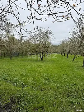 Satılır torpaq sahəsi — Qusar