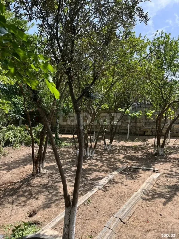 Satılır 10 otaqlı həyət evi 300 m²