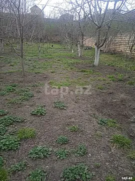 Satılır torpaq sahəsi — Quba