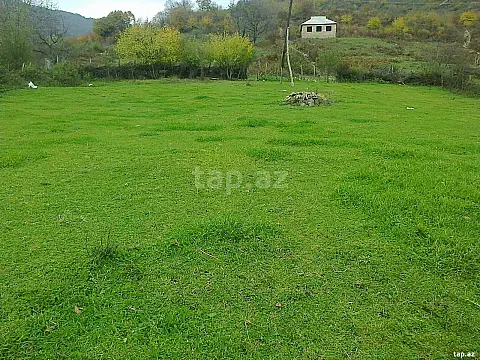 Satılır torpaq sahəsi — İsmayıllı
