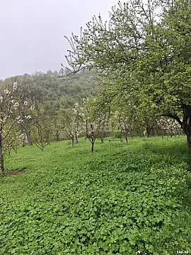 Satılır torpaq sahəsi — Quba