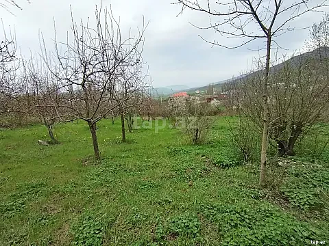 Satılır torpaq sahəsi — Siyəzən