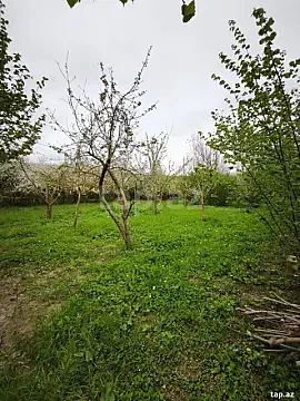 Satılır torpaq sahəsi — Qusar
