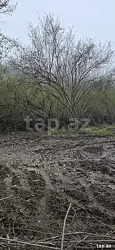 Satılır torpaq sahəsi — Qusar