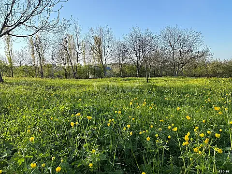 Satılır torpaq sahəsi — Qusar