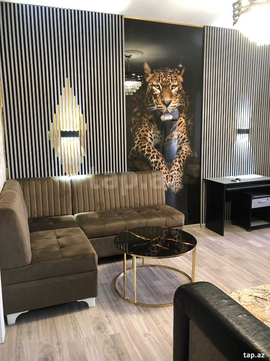 Kirayə verilir 2 otaqlı mənzil 50 m²