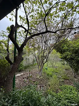 Satılır torpaq sahəsi — Sumqayıt