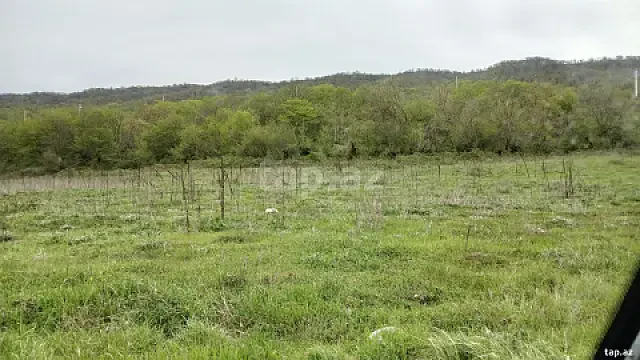 Satılır torpaq sahəsi — Qusar