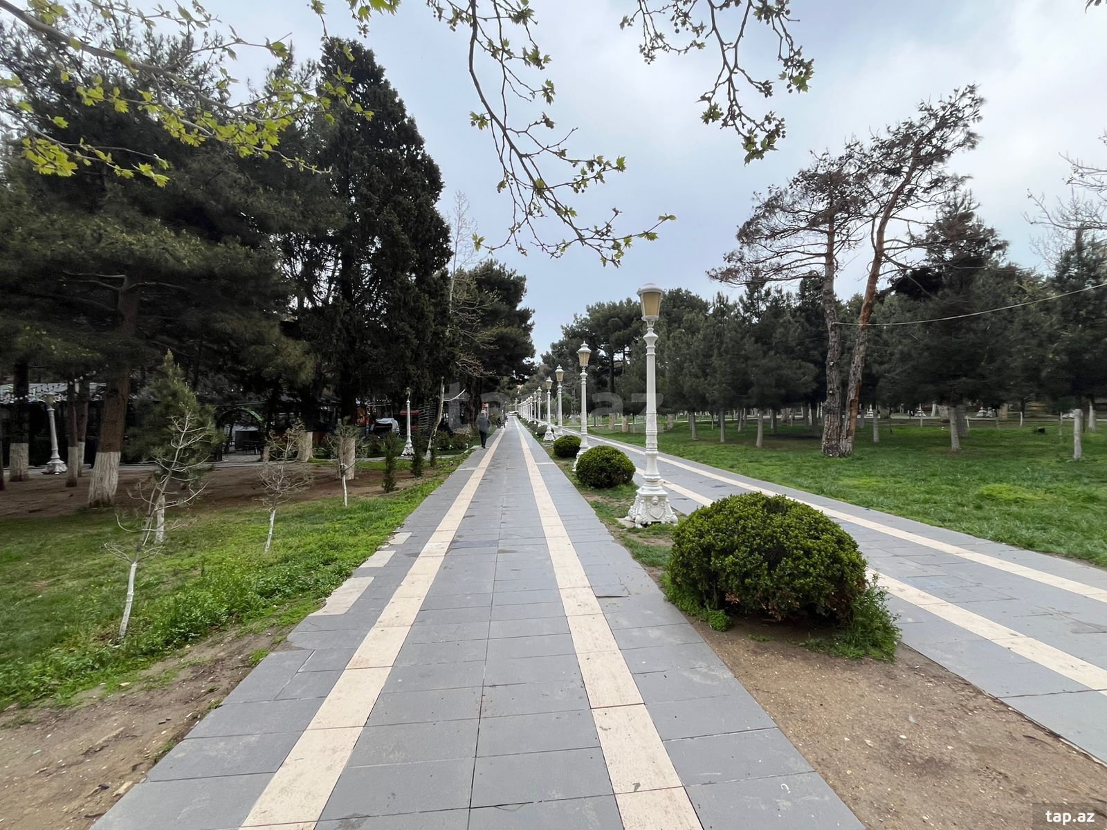 Kirayə verilir 2 otaqlı yeni tikili 62 m²