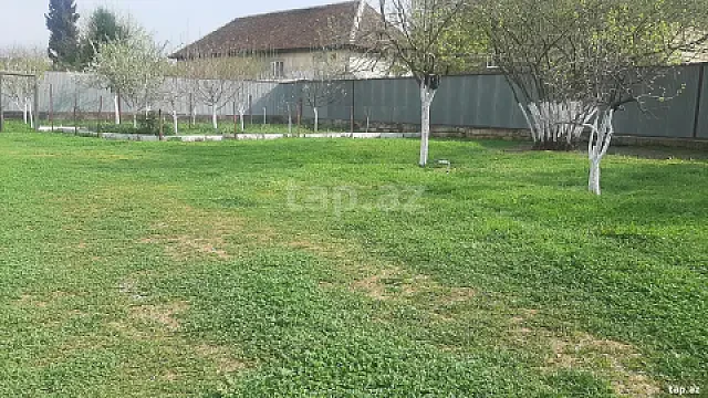 Satılır torpaq sahəsi — Masallı