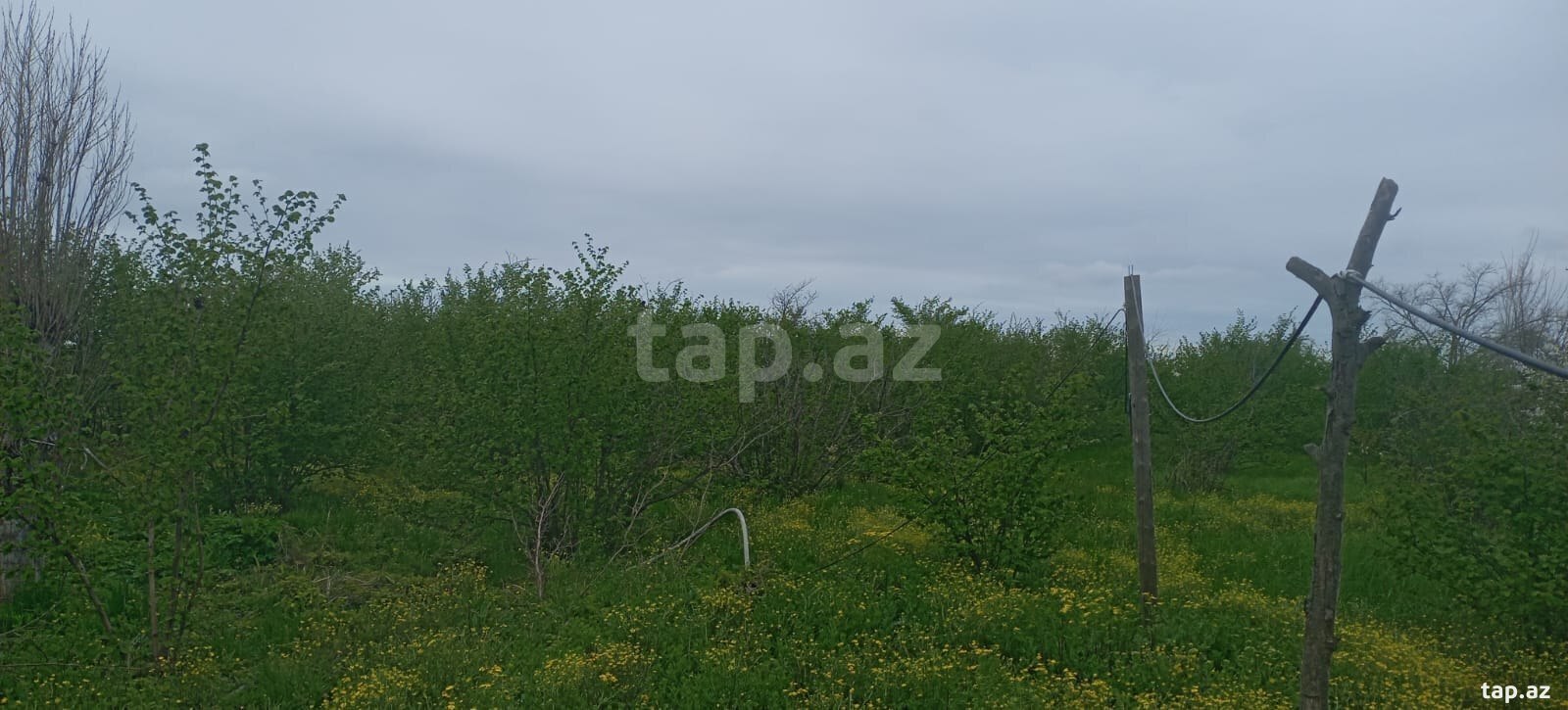 Satılır 5 otaqlı həyət evi 55 m²