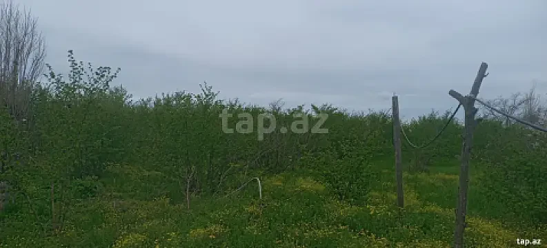 Satılır 5 otaqlı həyət evi 55 m² — Xaçmaz 5 otaq 55.00 m²
