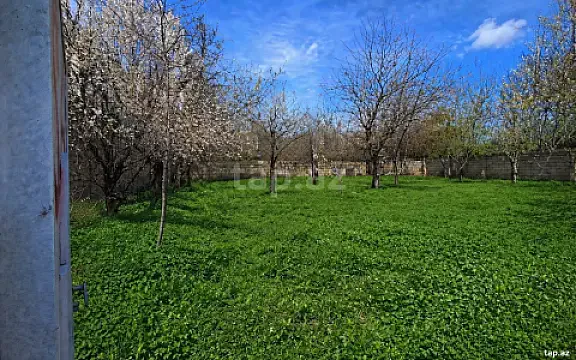 Satılır torpaq sahəsi — Qəbələ