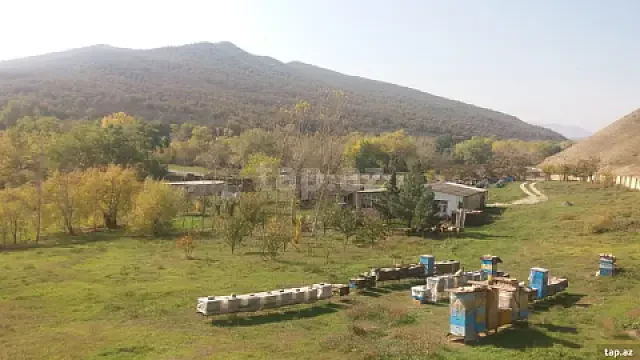 Satılır torpaq sahəsi — Şabran