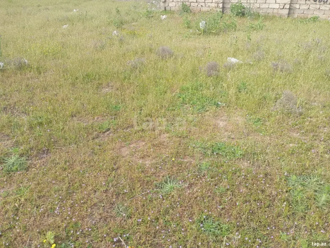 Satılır torpaq sahəsi