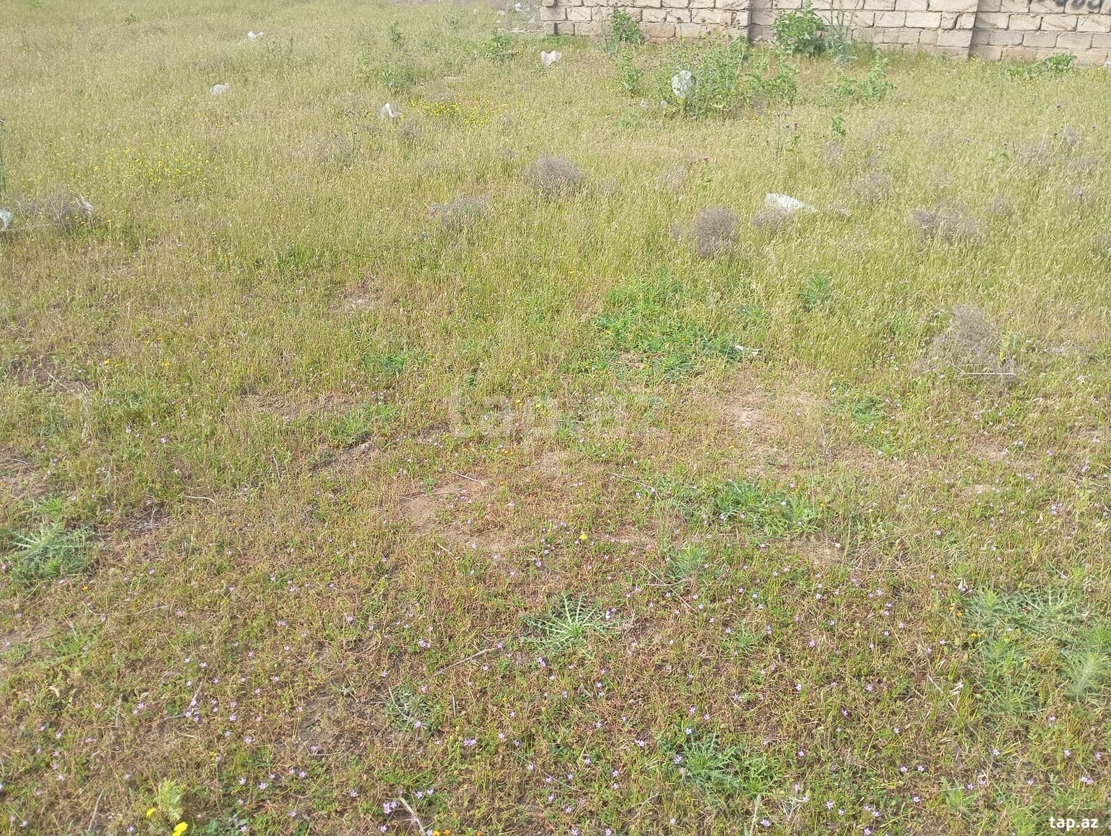 Satılır torpaq sahəsi