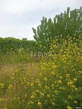 Kirayə verilir 4 otaqlı həyət evi 90 m² — Bakı, Masazır 4 otaq 90.00 m²