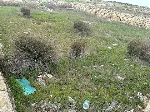 Satılır torpaq sahəsi — Sumqayıt
