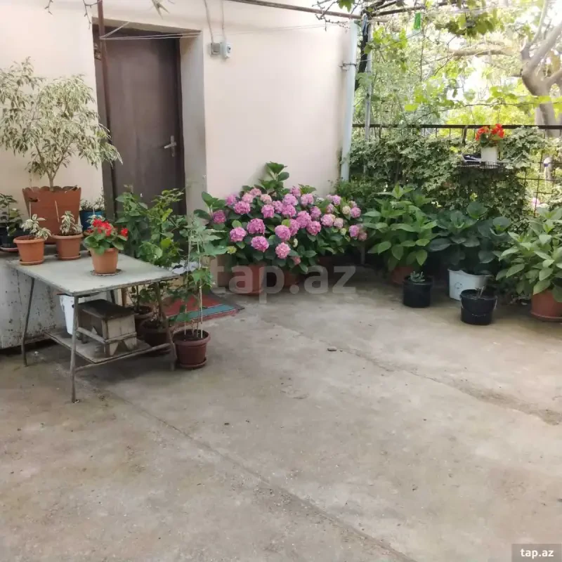 Satılır 2 otaqlı həyət evi 65 m²