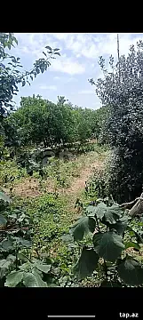 Satılır torpaq sahəsi — Astara