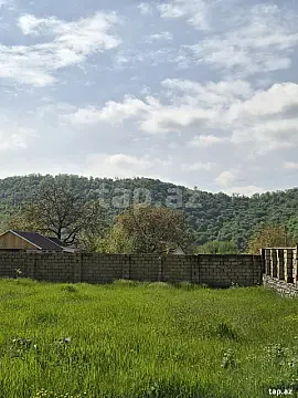 Satılır torpaq sahəsi — Qəbələ