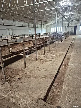Kirayə verilir obyekt — Bakı