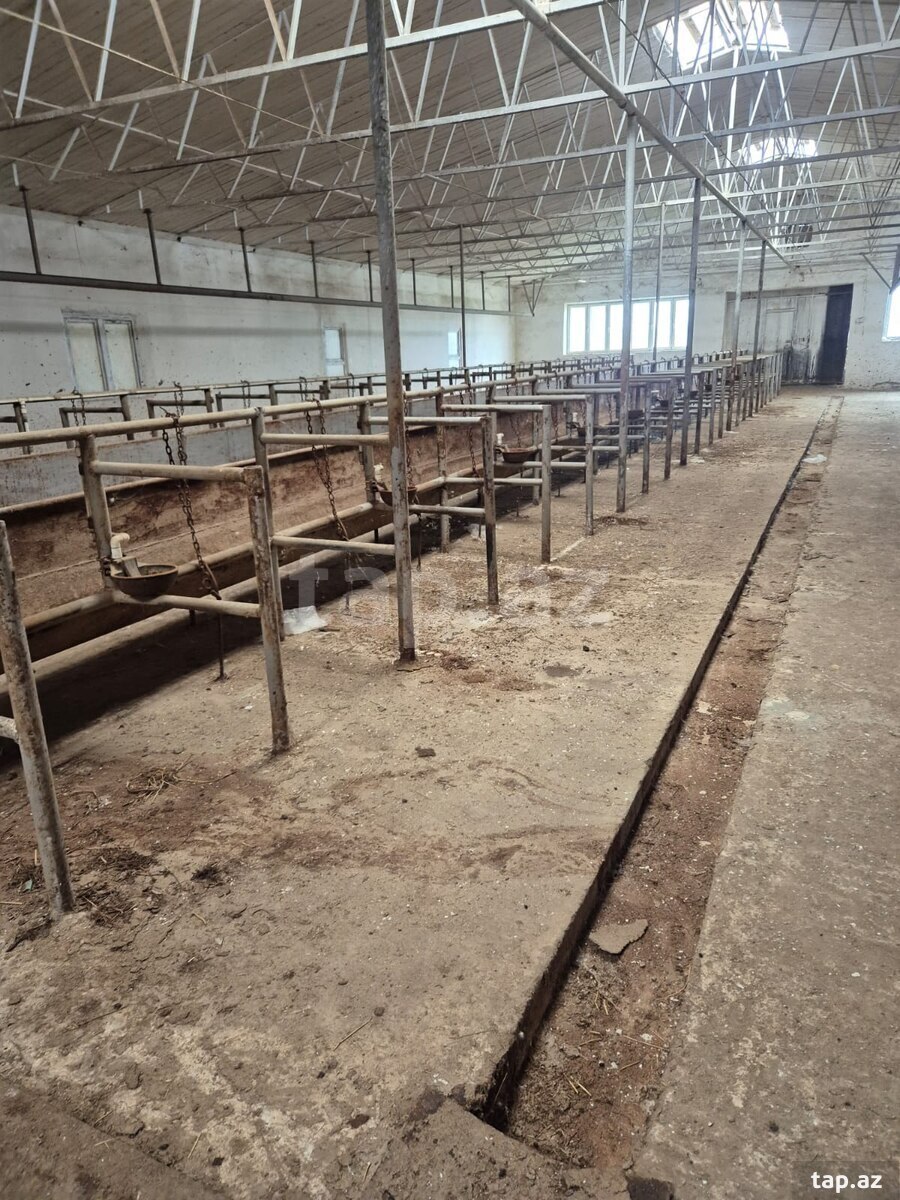 Kirayə verilir obyekt